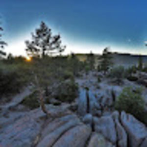 Meet your Posher, Dylan